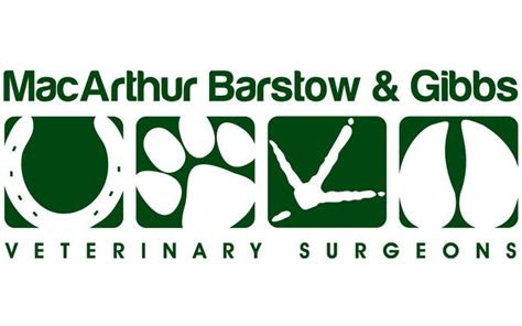 MacArthur Barstow & Gibbs - Droitwich Vets